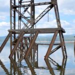 Industrial Structure