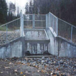 Municipal Wastewater Project